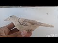 como esculpir um pássaro