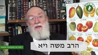 ☢ בול פגיעה - בדיקת מנגו מחרקים ותולעים
