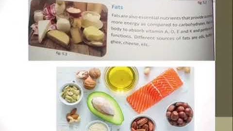 Grade 4 Chapter: Food and energy (Food pyramid and balance/unbalance diet)