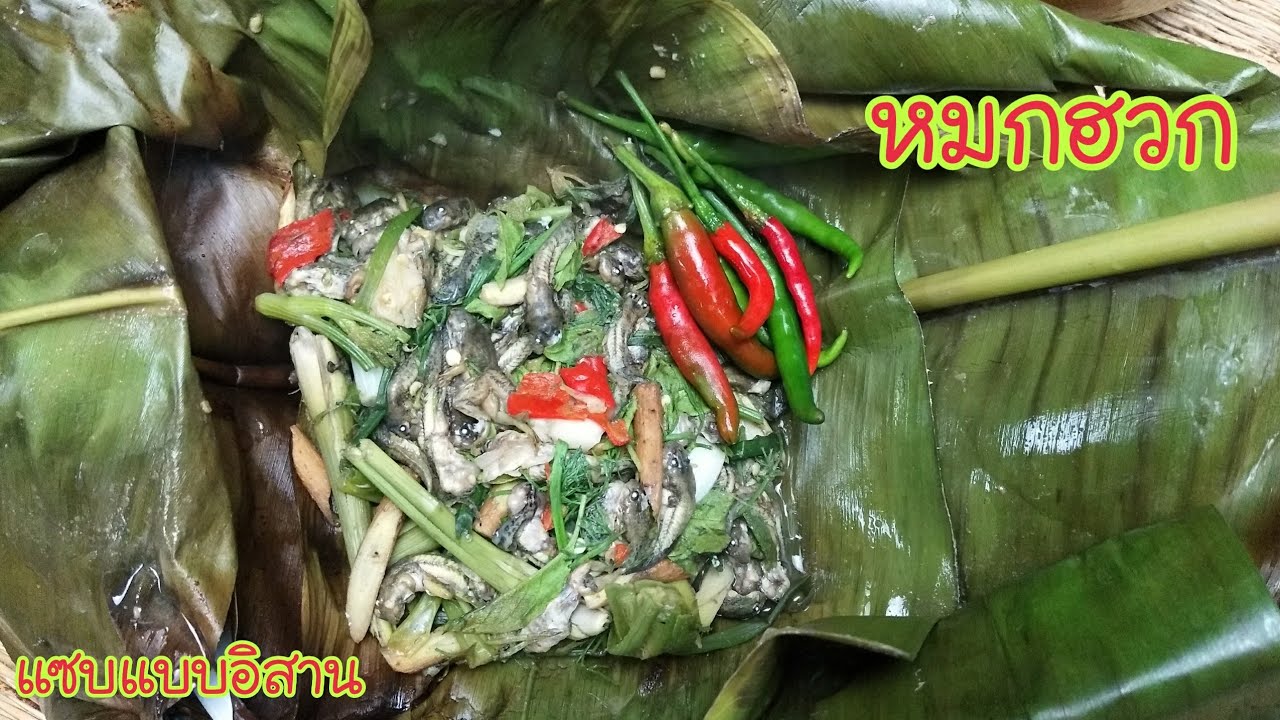 ห่อหมกฮวก คือ Update New อาหารอิสาน หมกฮวก/หมกลูกอ้อด Tadpoles Deep Thai Food