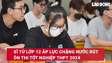 Sĩ tử lớp 12 áp lực chặng nước rút ôn thi tốt nghiệp THPT 2024 | Báo Lao Động