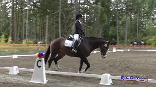 040D Adele Wong On Raffetouille Open Preliminary Championships Dressage Aspen Farms Sept. 2018