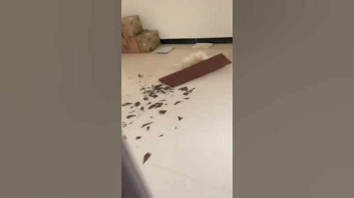 Reversed short 🤯 Cat broke the glass 🙀 #shorts #cat #kitten