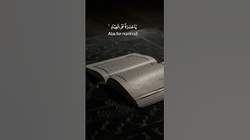 يا حسرة على العباد. تلاوة خاشعة جميلة جدا القارئ حمادة جودة هلال