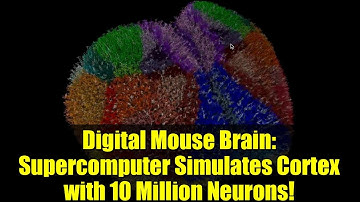 Digital Mouse Brain: Supercomputer Simulates Cortex with 10 Million Neurons!
