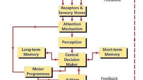 HPL 2 - 04 INFORMATION PROCESSING