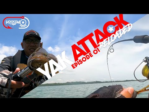 Video: Yak Attack Deel 3: The Donkey Circuit - Matador Network