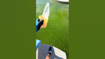 Xử lý nước bể bơi lâu ngày chưa vệ sinh