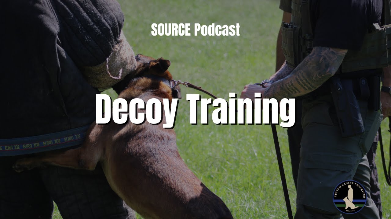Decoy Training | SOURCE - YouTube