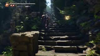 Ninja Gaidan 2 Black  Very Hard