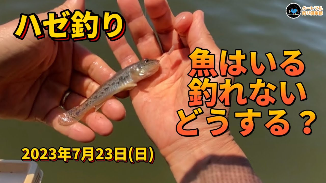 釣ってないはずが Goby Fishing] What to do if there are fish but you can't catch any