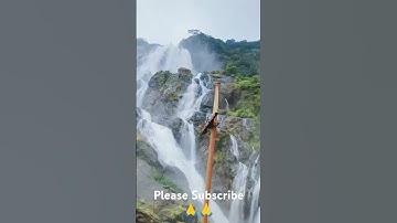 Dudh sagar waterfalls #dudhsagarfallsingoa #goa #travel #newsong #nature #trendingshorts #train