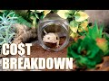 How Much Does It Cost to Setup a LEOPARD GECKO Tank? | breaking down my setup