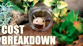 How Much Does It Cost to Setup a LEOPARD GECKO Tank? | breaking down my setup