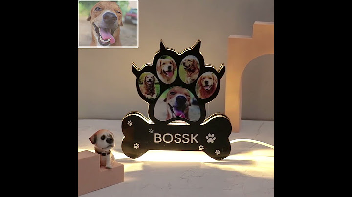 Custom bone dog paw photo light