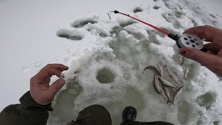 Рыбалка часть 2.БЕШЕНЫЙ КЛЕВ ХАРИУСА РВЕТ УДОЧКИ,КЛЮЁТ КАК ИЗ ПУЛЕМЕТА