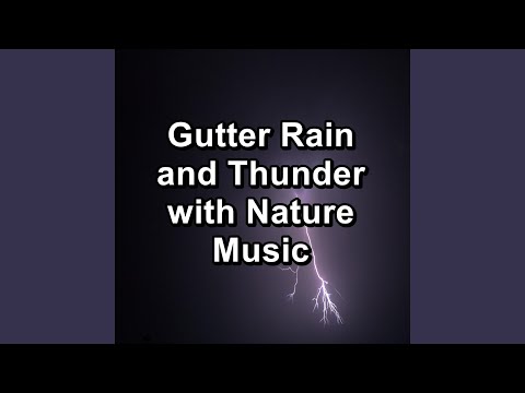 Gutter Rain And Thunder For Relaxing Times Pure Sounds To Help Insomnia