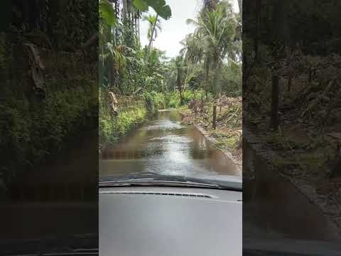 Kerala Village Road