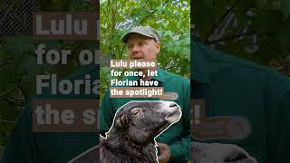 Part 3: “Get Ready With Us” for Erion’s Rescue  | FOUR PAWS | [SUBS]