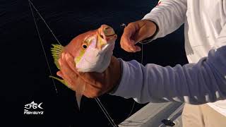 The Fish Guyz TV The Fish Guyz TV