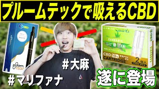 【新作】プルームテックで吸えるCBDが登場！濃度10％がこのコスパで入手可能！？【大麻】