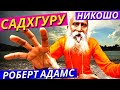 Как Найти Настоящего «Гуру» (Духовного Учителя) и Отличить от Обманщика. Сатсанги Роберта Адамса 6