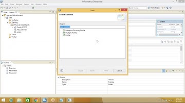 02. Informatica data quality profiling by Sudhakarreddy.