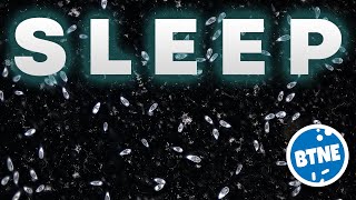 10 Minutes of Microcosmos - Sleep Relaxing Video Black / Dark Background. Fall asleep easily! screenshot 4