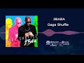 2Baba - Gaga Shuffle [Official Audio]