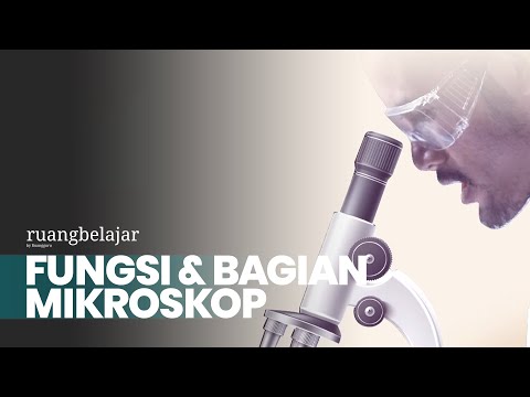 Video: Apakah jenis mikroskop yang berbeza yang digunakan dalam biologi?