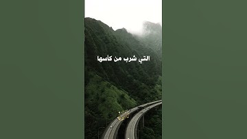 اكتب ما تؤجر عليه، وشارك الأجر🤍🌿#خالد_الراشد #القرآن_الكريم #اسلام #الله #تلاوات #الموت  #محمدﷺ