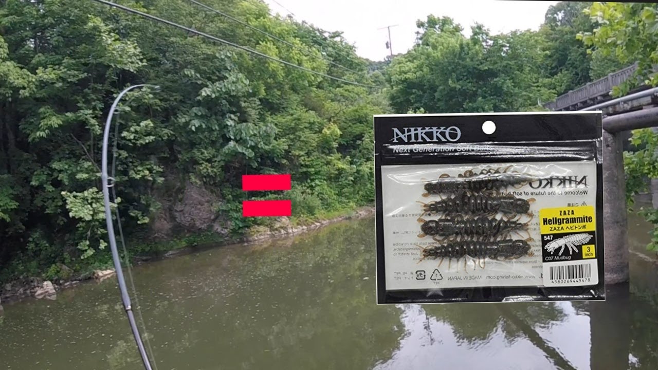 Bank Fishing The River, Nikko Hellgrammites