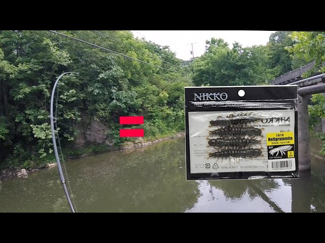 Bank Fishing The River With Nikko Hellgrammites ( Small Mouth Candy ) 