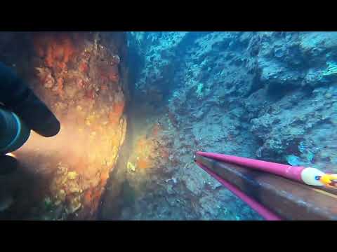 Видео: Подводная охота в средиземном море.