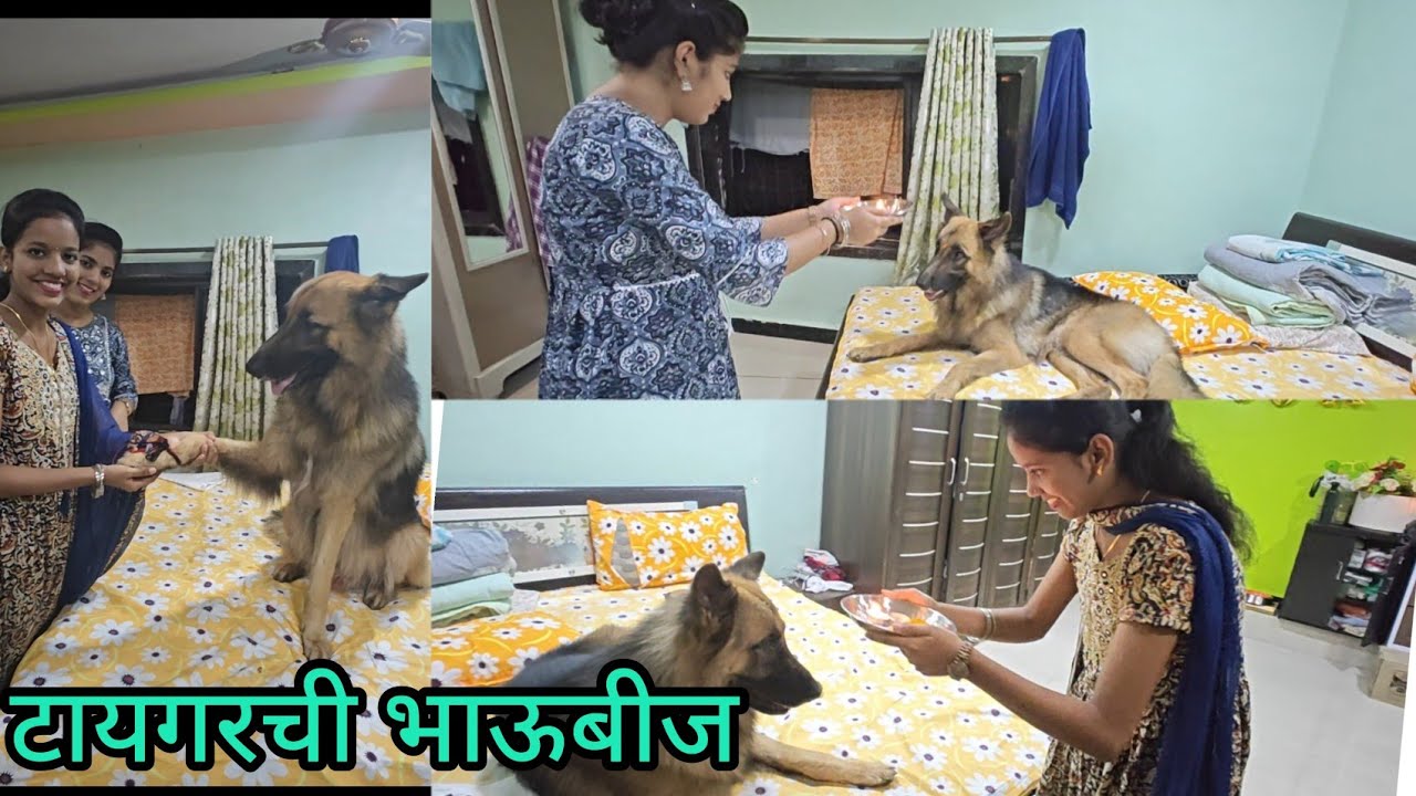 @भाऊबीज टायगरच्या बहिणी आल्या ओवाळायला 😄#dailyvlog #lifevideo