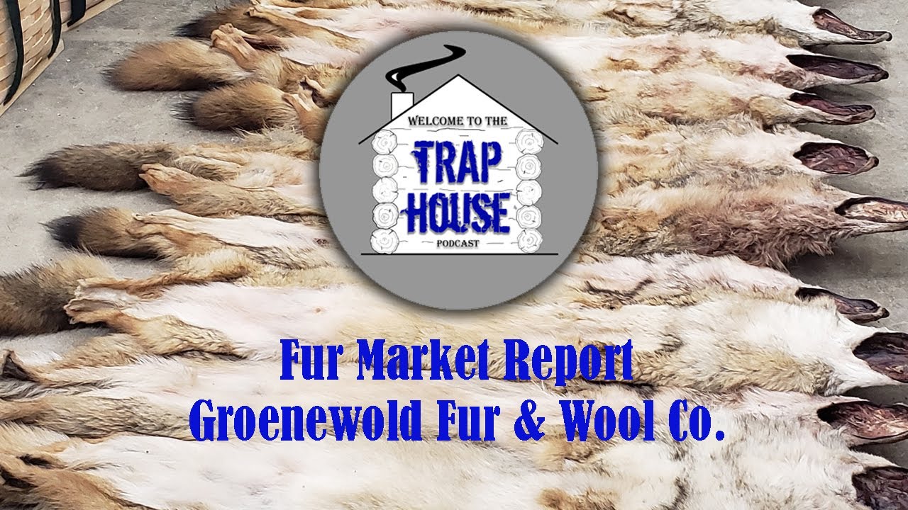 Trap House Podcast Fur Market Report Groenewold Fur & Wool Co. YouTube