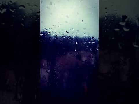 Martıların kanadında uçur