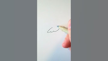 How to draw easy toucan bird one line art quick draw simple drawing painting bird tutorial