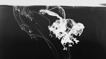 When the End Comes (Hushed) Official Studio Version