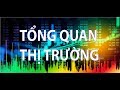AQUILON TRADE  Phân tích các gói đầu tư - YouTube
