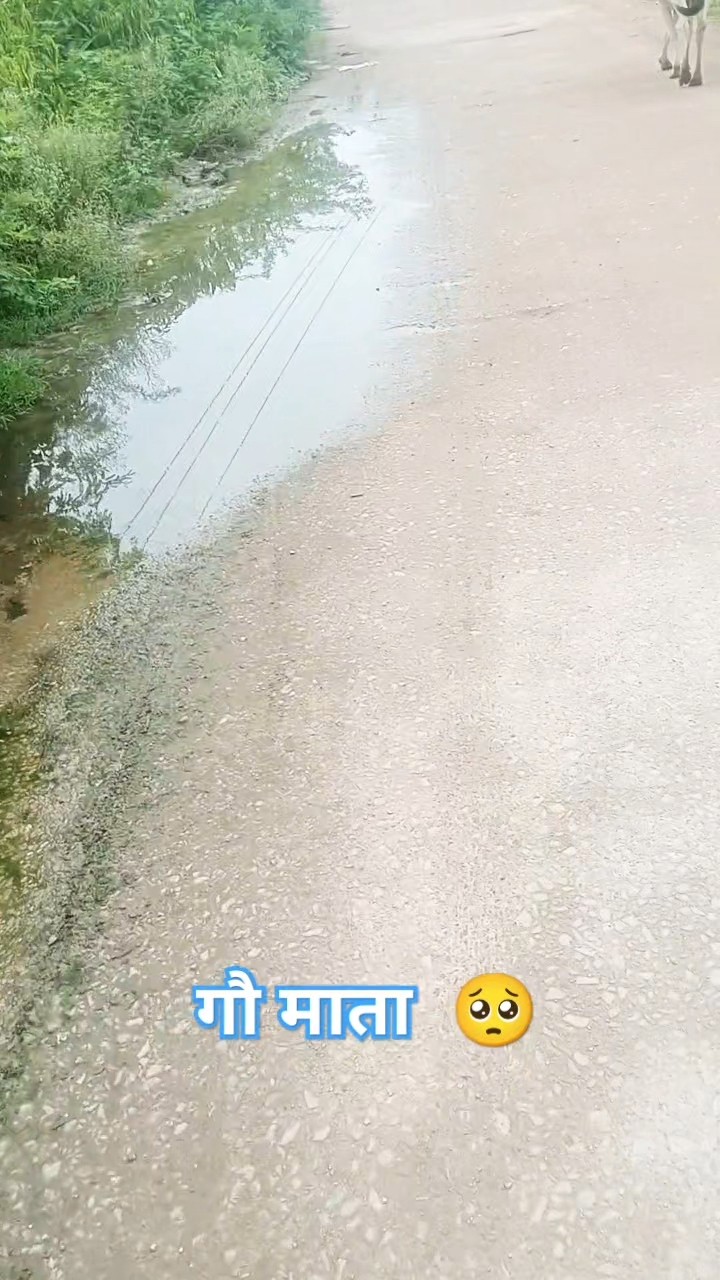 🕉️सनातन धर्म🚩 - ShareChat