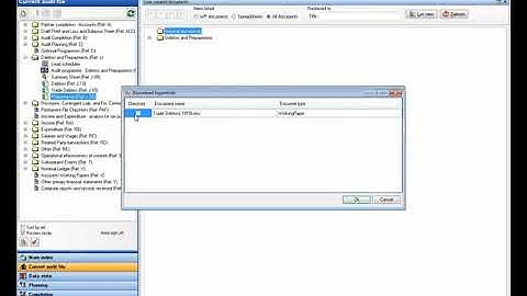 CCH Audit Automation: Managing working papers