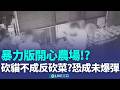 暴力版開心農場? 菜礙到你? 菜遭斬又偷 豐原男長刀亂砍菜 同伴錄影嘻笑撿走 屋主兒: 連砍2次 ｜新聞一把抓20260517｜三立新聞台