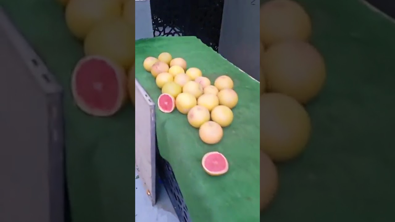 منقول . بسكرة  : افتتاح السوق المغطاة (marché couvert )بحلة جديدة 23. 11. 2025 