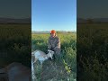 Amy's Wyoming Antelope #hunting #deerhunt #superexcited #deerhunter #deer