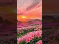 flower view' #qurantranslation #natureflower #quranvideo