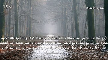 قرآن كريم بصوت القارئ: وديع اليمني || أجمل حالات واتس اب دينيه || تلاوة خاشعة 🌿