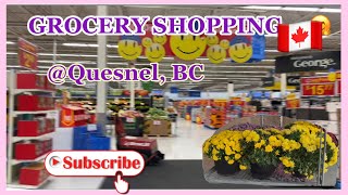 GROCERY SHOPPING @ QUESNEL, BC….in Walmart & Super Foods