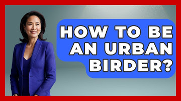 How To Be An Urban Birder? - Bird Watching Diaries