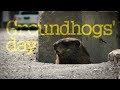 Groundhogs&#39; day